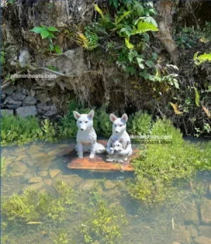 こんこん山のきつねの親子