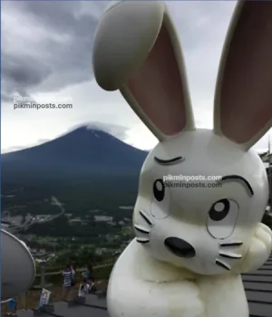 Rabbit Thinking Of Mt Fuji